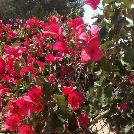 Carolina- Llenaire, Puerto De Holiday home